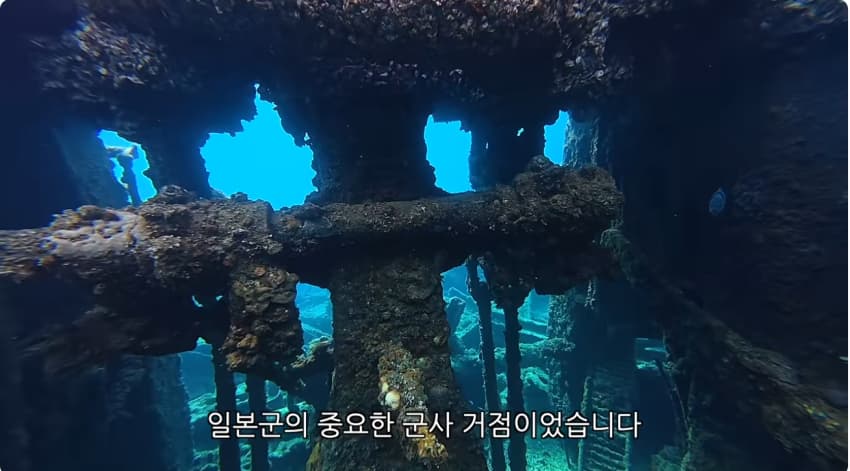 일본 부캉이 등장? 한국인이 좋아서 바다에 다이빙하면서 안부인사해주는일본 (17)