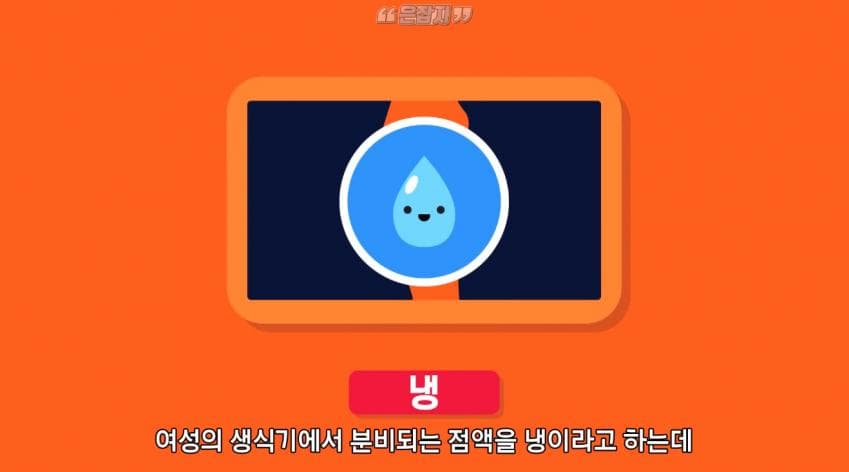 남자들은 잘 모르는 냉 이라는 것에 대하여 (15)