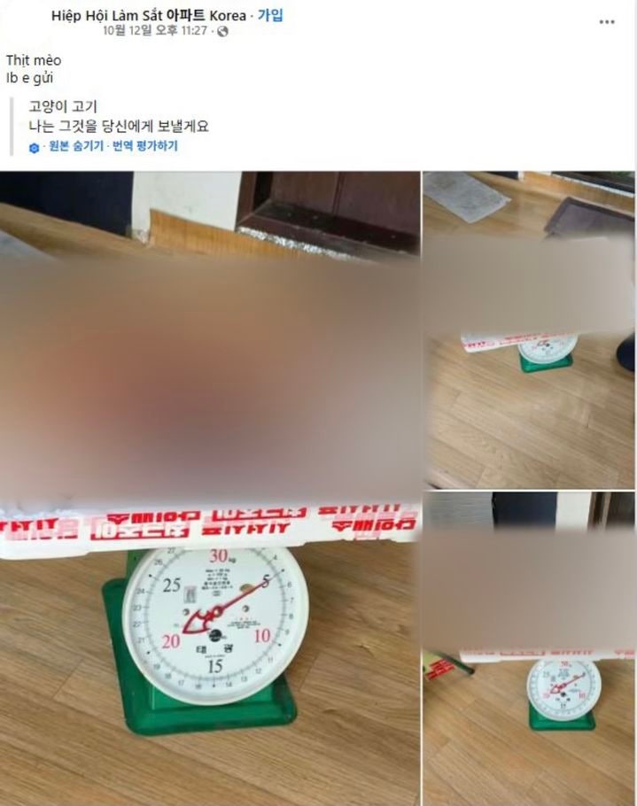 한국 거주 베트남인 커뮤니티에 '고양이 고기' 판매글 '충격' (5)