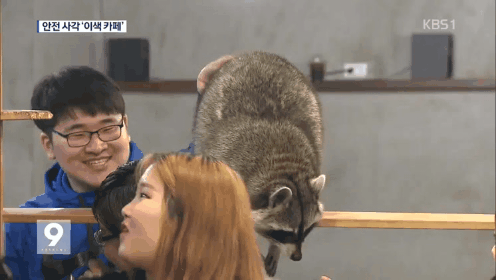 파주 용의자 과거 티비 출연 장면