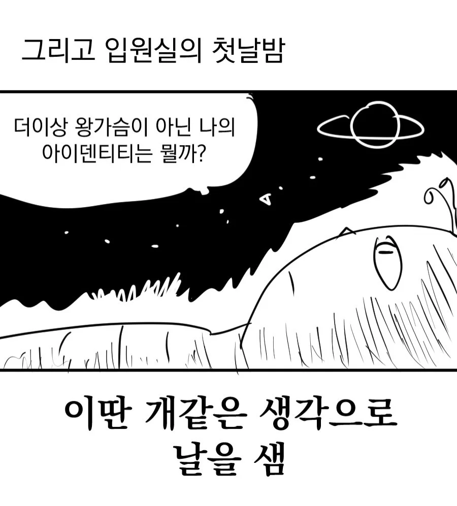 어느 웹툰 작가의 가슴 축소 수술 후기 만화 (22)
