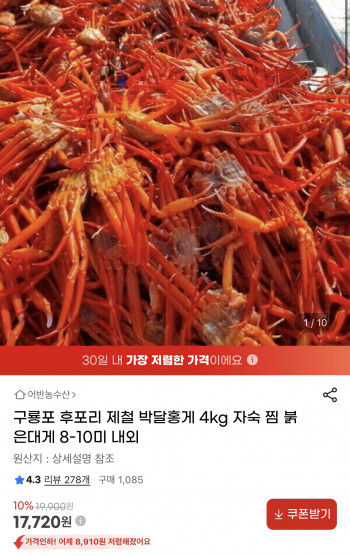 [지마켓] 구룡포 후포리 제철 박달홍게 4kg 8-10미 (17,720원/무료)