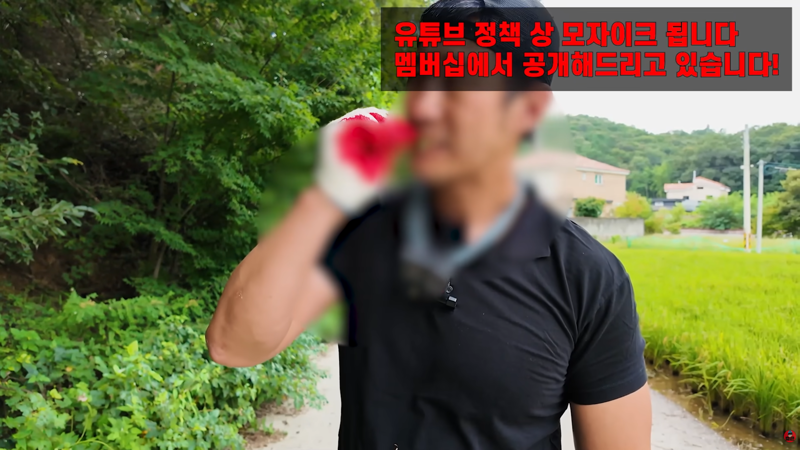사마귀 먹는 방법 알려주는 유튜버 (11)