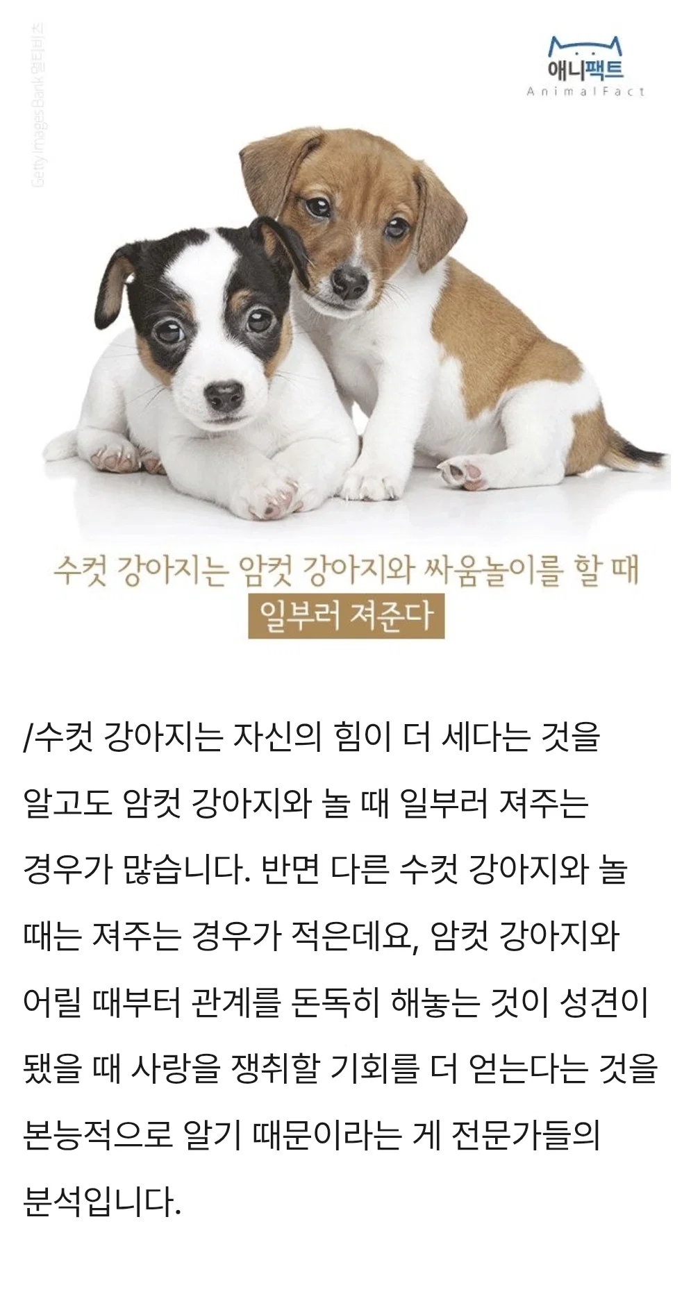 JeLxGA