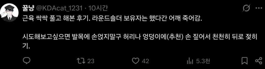 약혐)? 인터넷에서 하면 좋다는 운동 특징 (4)