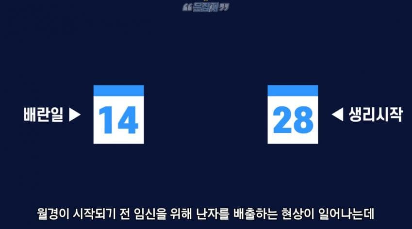남자들은 잘 모르는 냉 이라는 것에 대하여 (8)