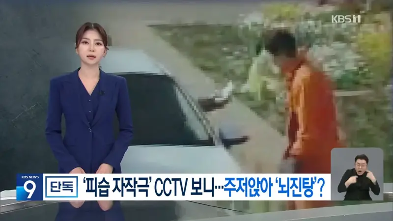 [단독] 주저앉고 ‘뇌진탕’?…정이한 ‘피습 자작극’ CCTV 입수