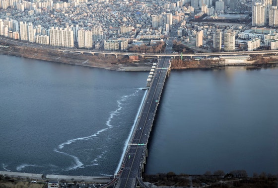 서울 송파구 한강변에서 사람 두개골·다리뼈 발견… (3)