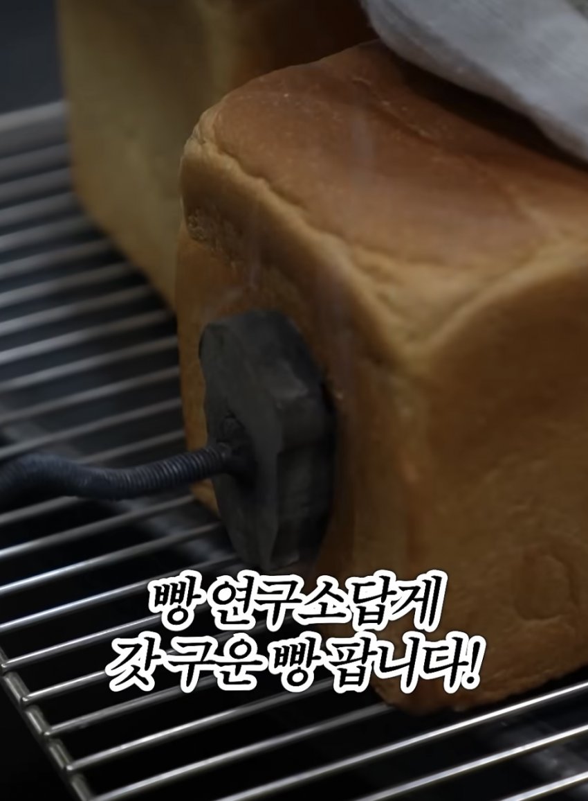 이게정상이냐???? (6)