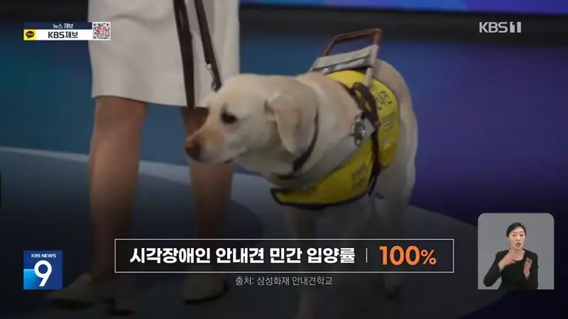 국가 위해 헌신한 퇴역견…은퇴 후 관리는 ‘나몰라라’ (6)