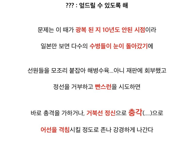 어찌보면 한국 최후의 의병 (13)