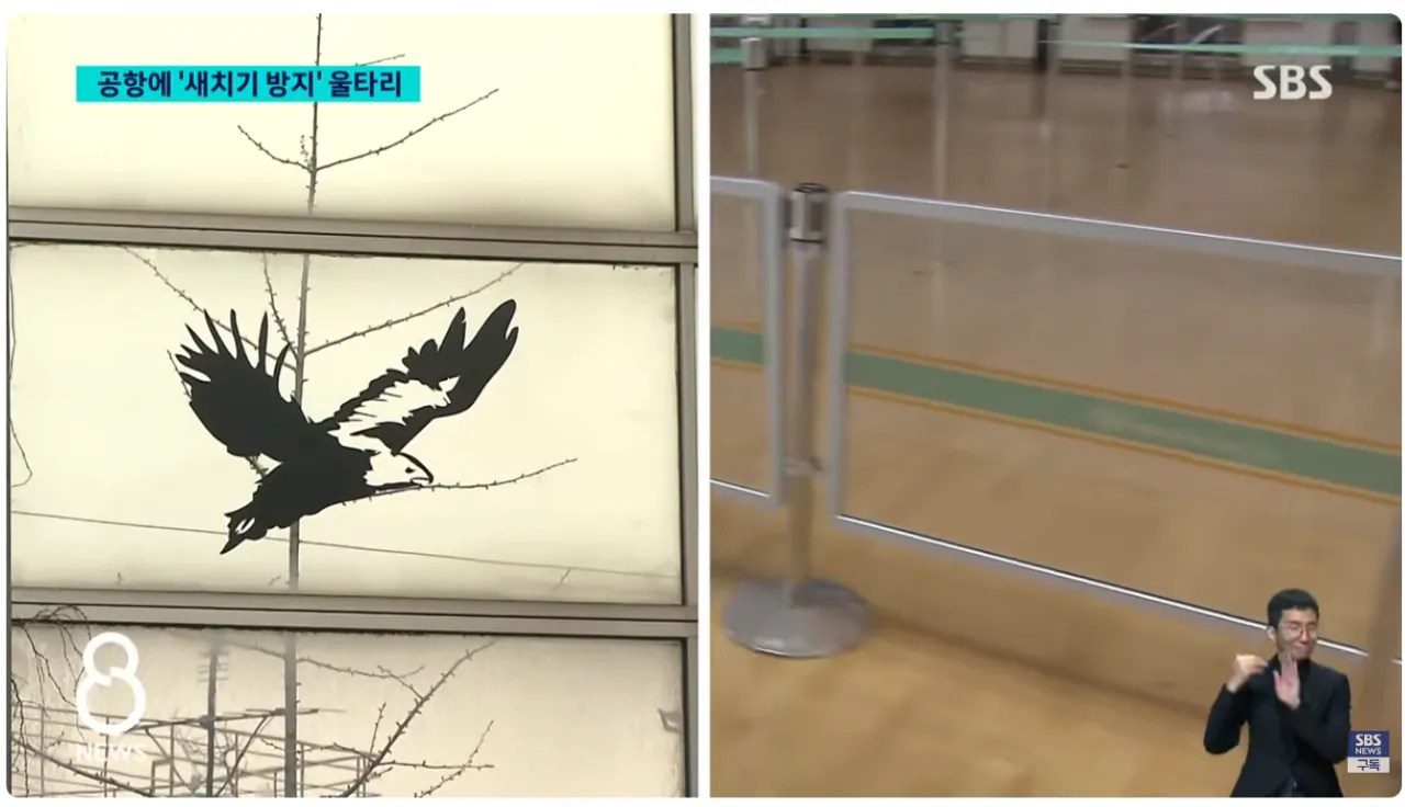 image.png [SBS] 인천공항에 '새치기 방지' 울타리 설치 이후 근황