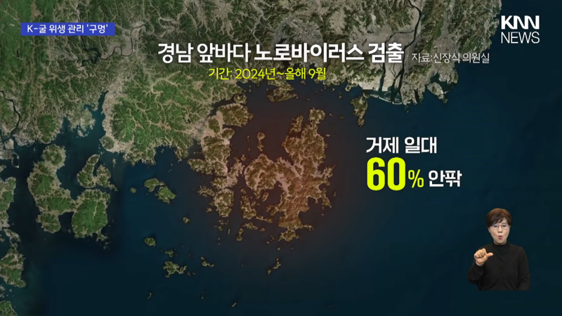 현재 심각하다는 굴 전량 폐기 사태 (4)