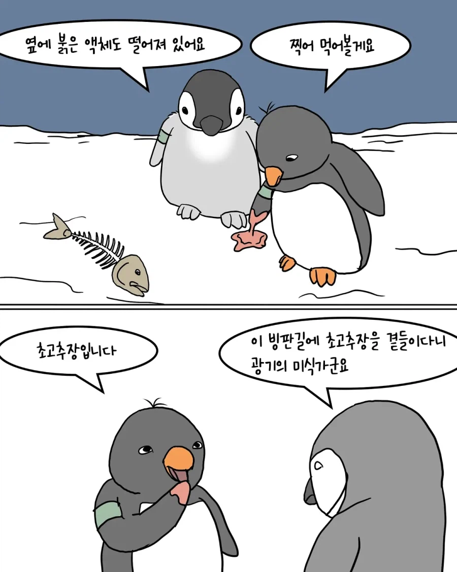 야간 순찰대를 운영하는 남극 펭귄들.manwha (5)