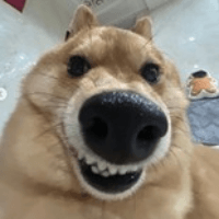 시바3