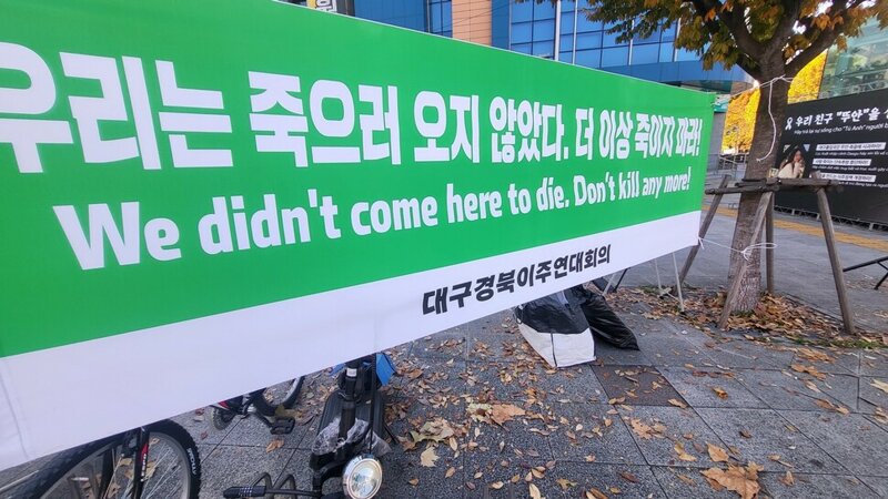 토끼몰이' 단속에 베트남 여성 사망했지만‥인권위 "생명권 침해는 아냐" (4)