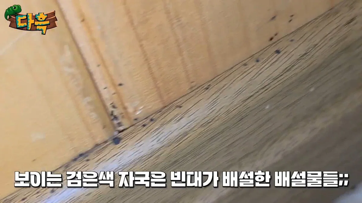 부산 찜질방 빈대 이슈 업로드한 유튜버 다흑... (17)