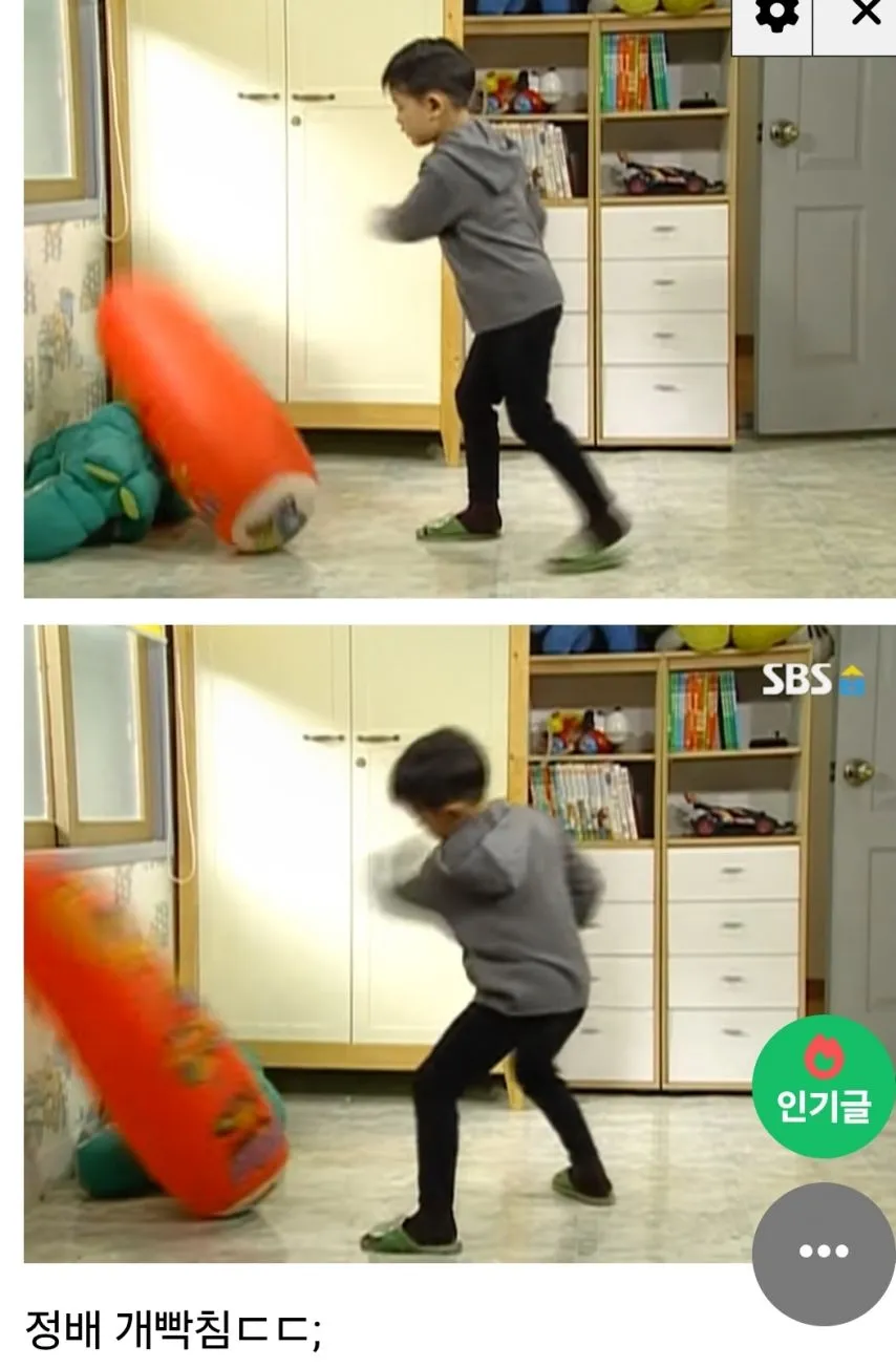 미달이랑 뽀뽀한 정배의 최후