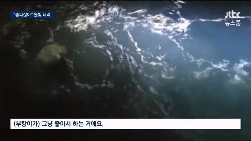 싱글벙글 부캉이 근황 (16)