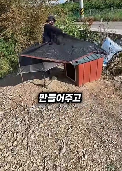 조회수1500만 견주 허락 없이 1개월 아기 강아지 그늘막 설치 사연, (28)