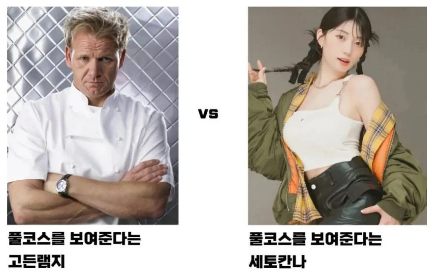 풀코스 vs 풀코스