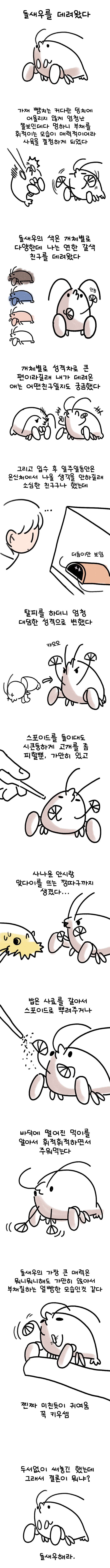 돌새우 키우는 짧은만화