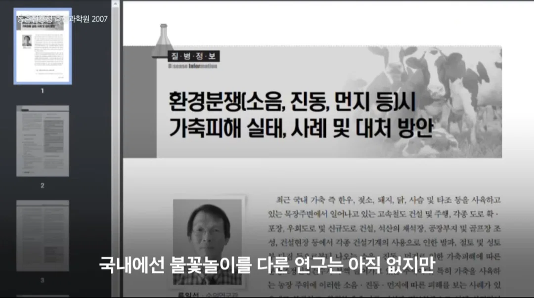 새들에겐 거의 전쟁난 수준이라는 불꽃축제 (39)