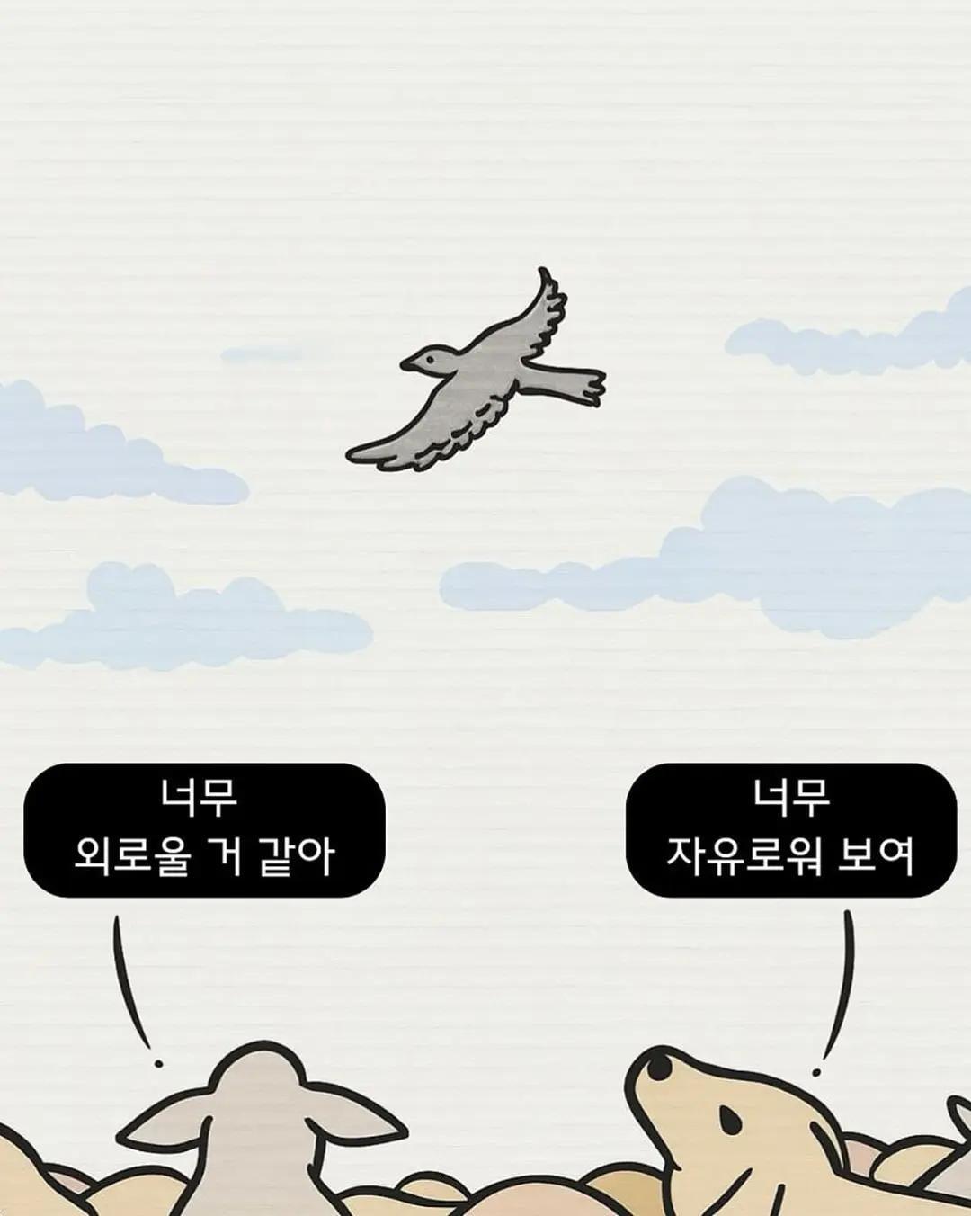멍청한 나를 정신 차리게 도와준 그림 6장 (3)