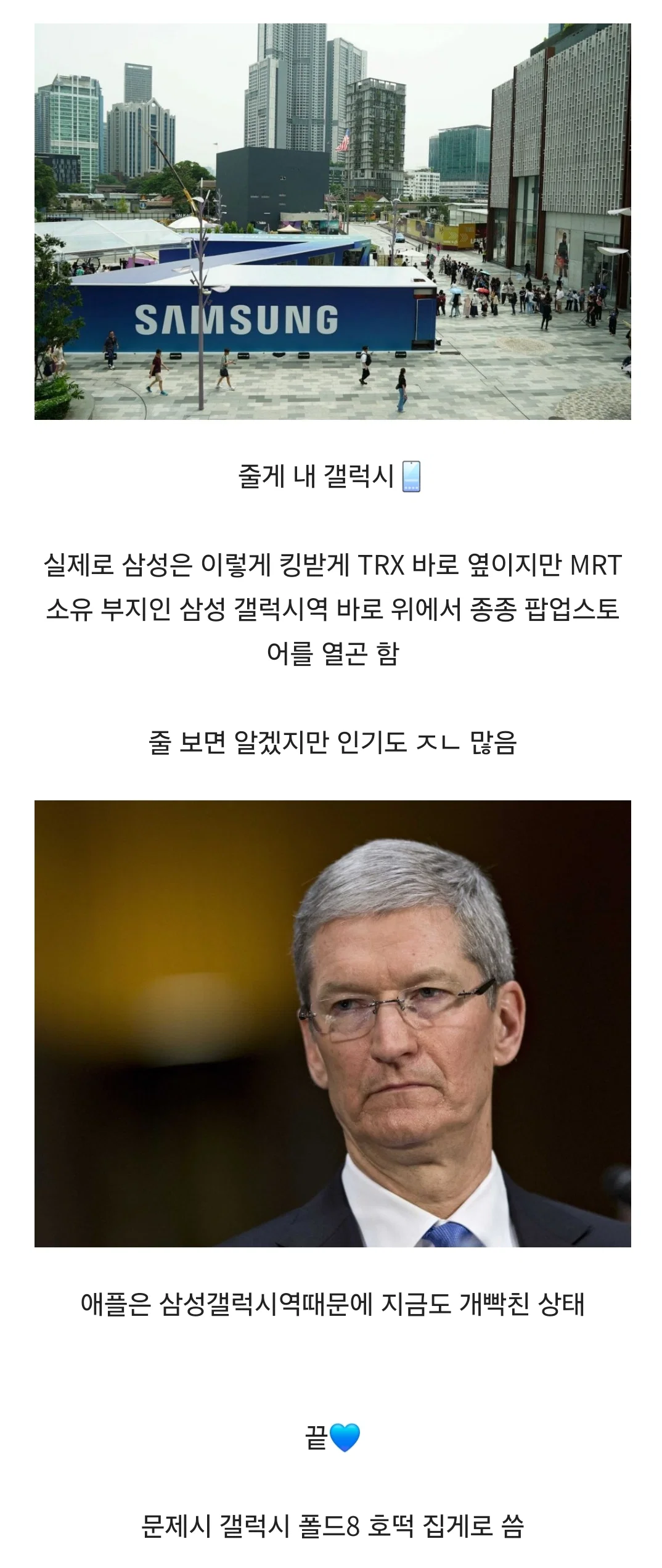 애플: 내 집에 다른 사람 들이지 마 삼성: 응 너네 집 현관 내꺼 (15)