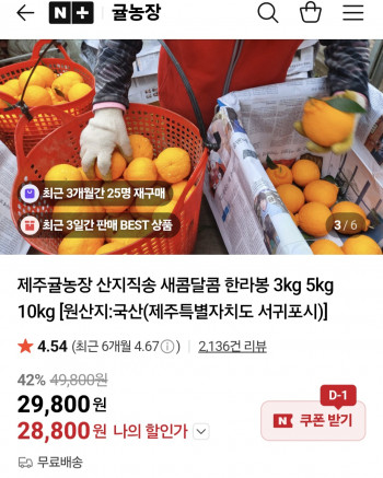 [네이버] 제주 한라봉 중소과 10kg