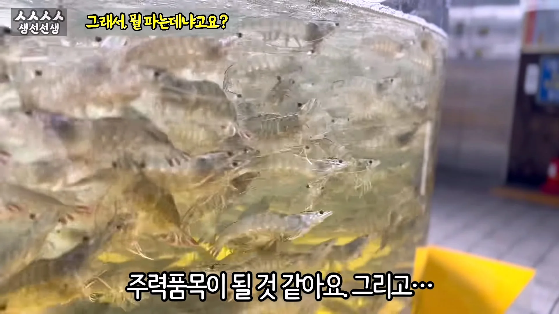 소래포구 상인에게 고소 당했던 20만 유튜버 얼굴 공개 (11)