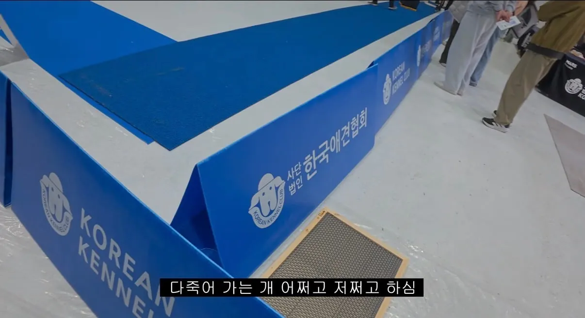 오늘자 도그쇼 협회관계자 망언