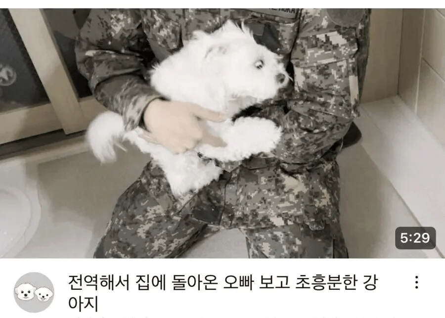 군대간 주인님이 돌아오자 초흥분했다는 강아지.. (3)