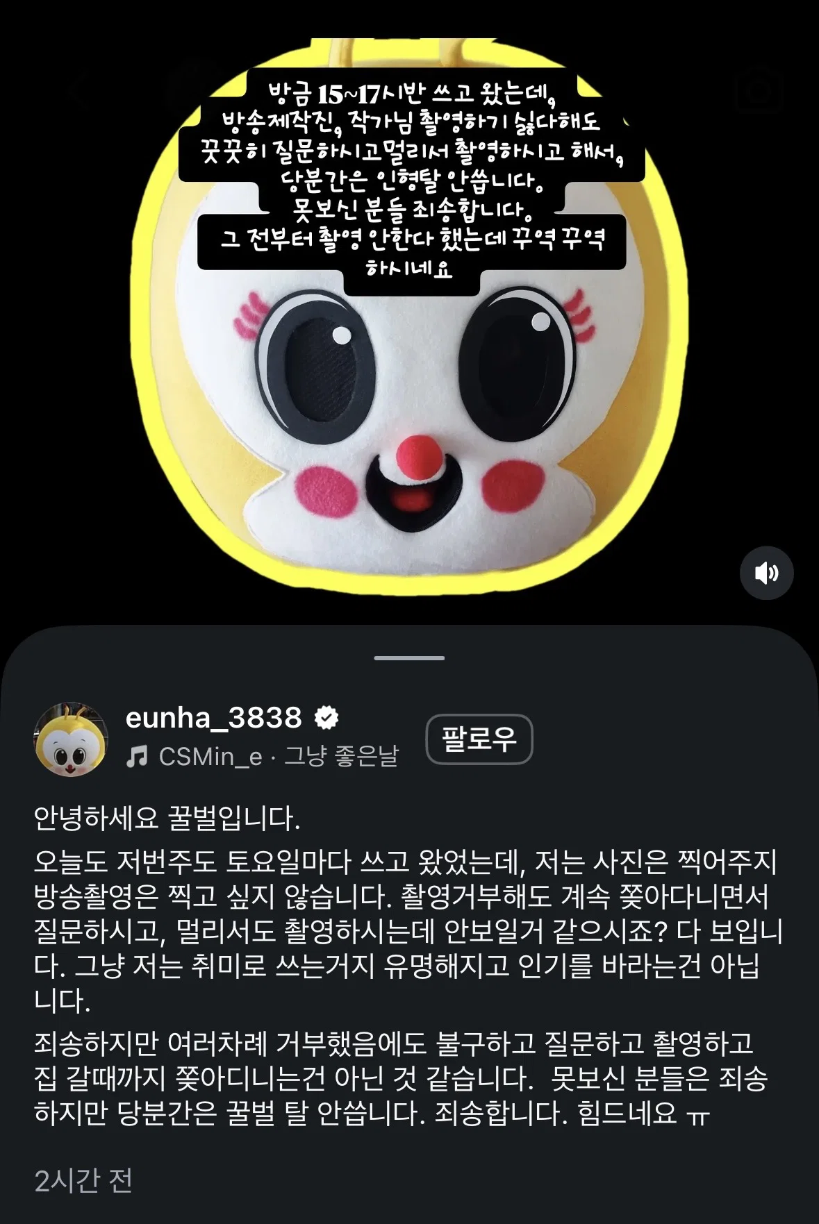 꿀벌 인형탈 당사자가 인스타에 올린 글