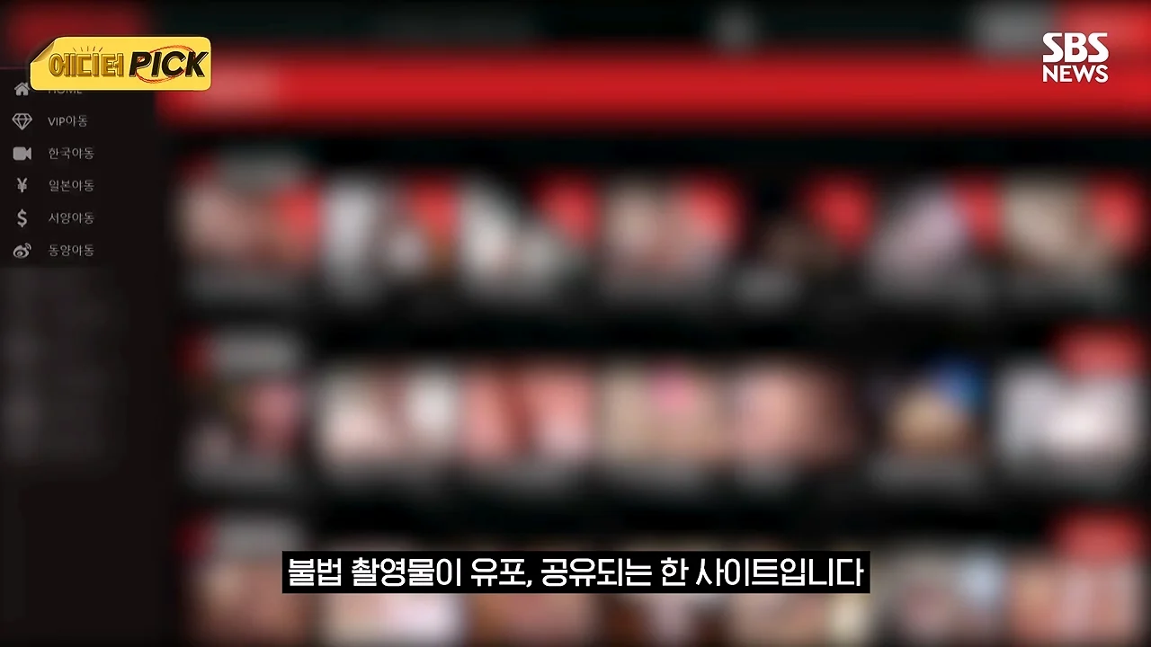 한국 야동사이트 해킹해서 사이트 폐쇄까지 고려하고있다는 한국 정부