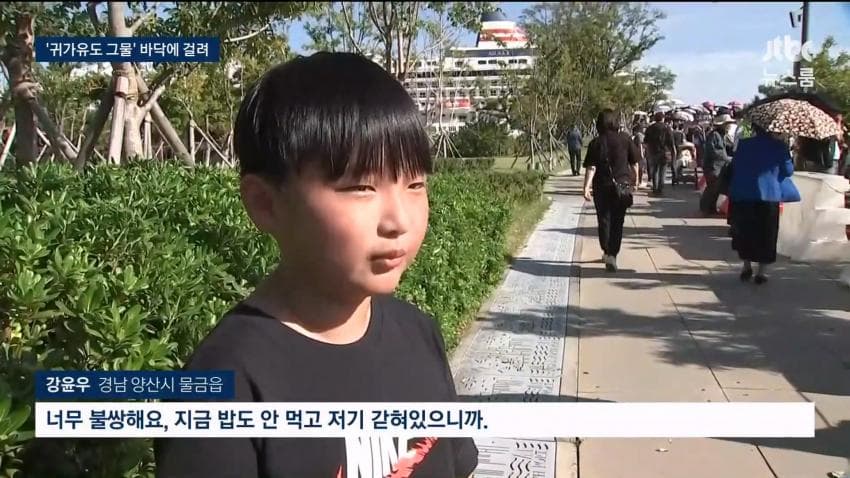 상어 부캉이 구조작업 또 실패…바다 앞서 멈췄다 (16)