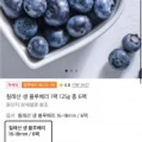 칠레산 생 블루베리 1팩 125g 총 6팩