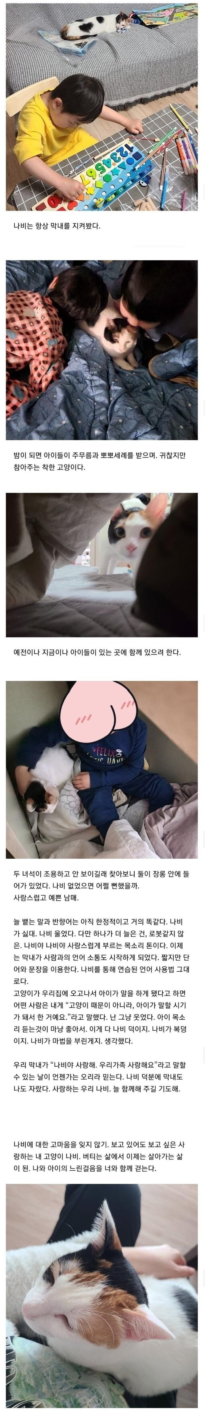 자폐스펙트럼 아이가 고양이를 만나자 생긴 일 (3)