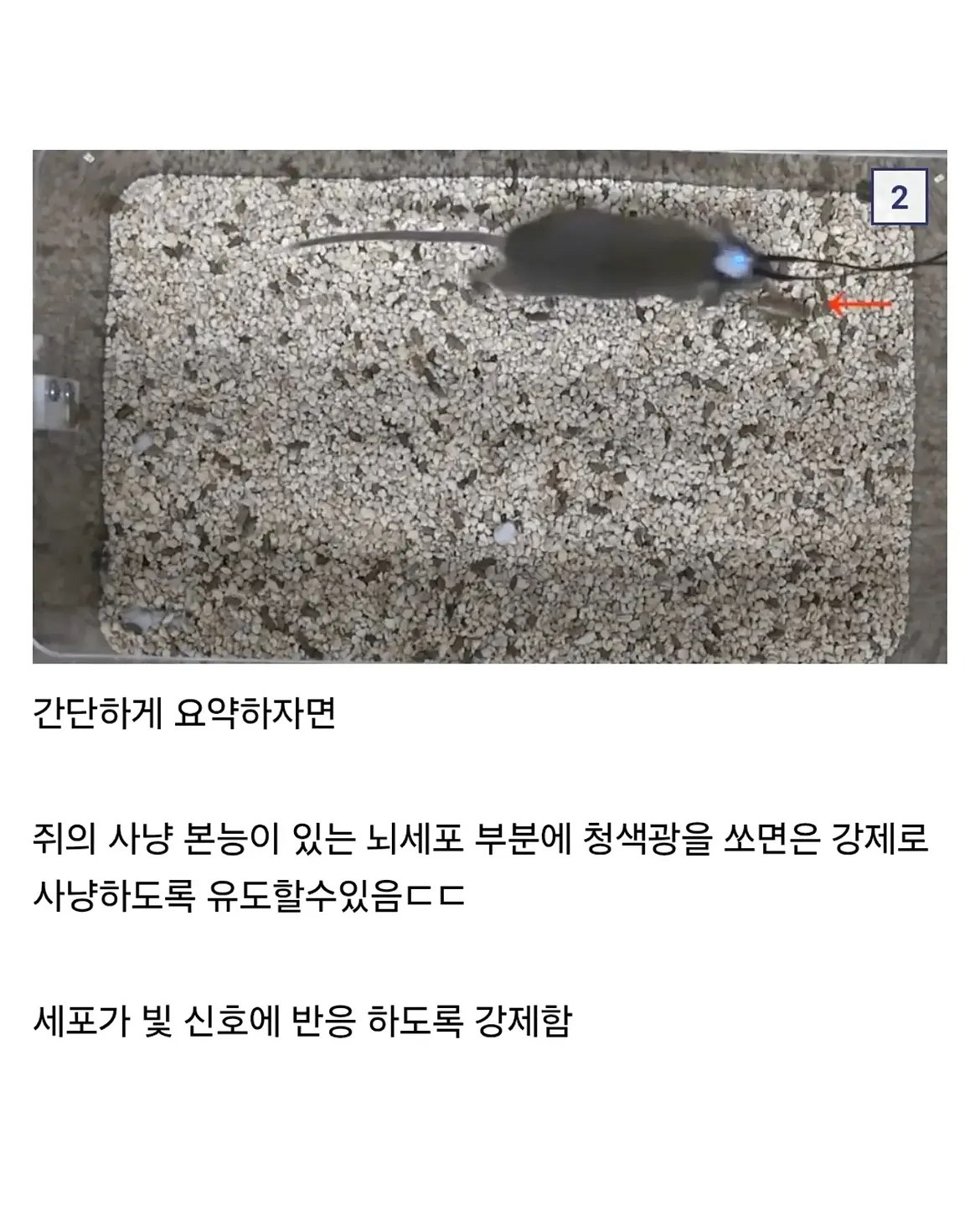 싱글벙글 충격적이라는 이번 노벨 의학상. (2)
