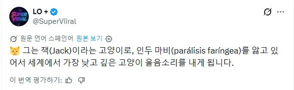 세계에서 가장 낮은 소리 내는 고양이
