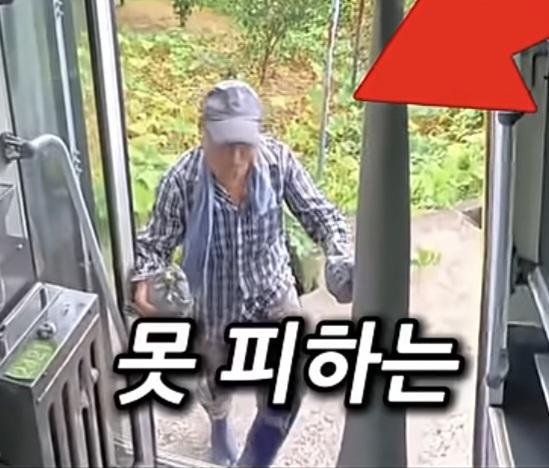 시골 카르텔 (3)