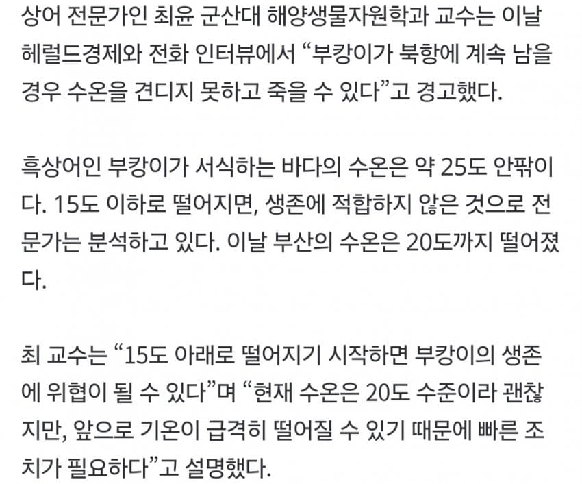부캉이, 12월에 죽을지도…수온 하락에 폐사 가능성 나왔다 (4)