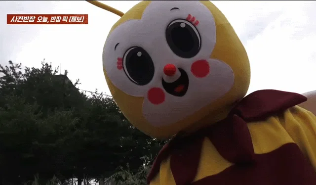 사건반장에 나온 꿀벌 복장 입는 이유 (18)
