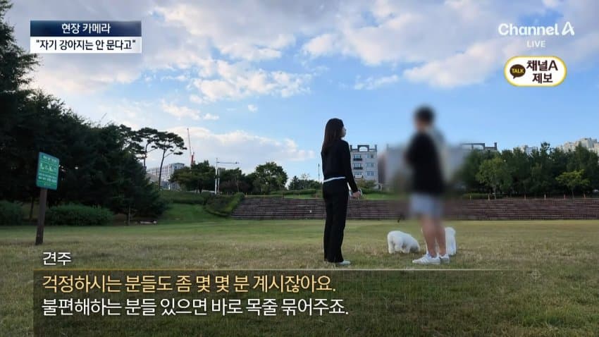 채널a) 단속원 퇴근하자...공원이 '개판' (27)