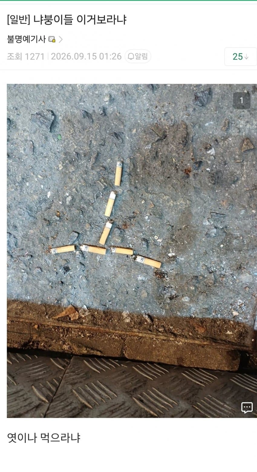 싱글벙글 담배고양이 애니 시청자 평균...