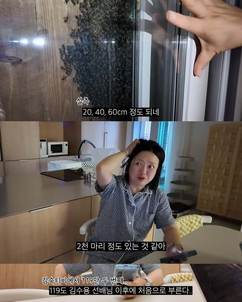 09.jpg