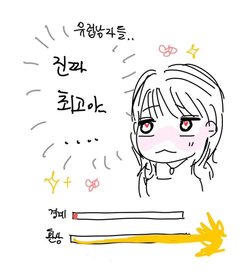 싱글벙글 유럽 남자 희망편. instatoon (19)