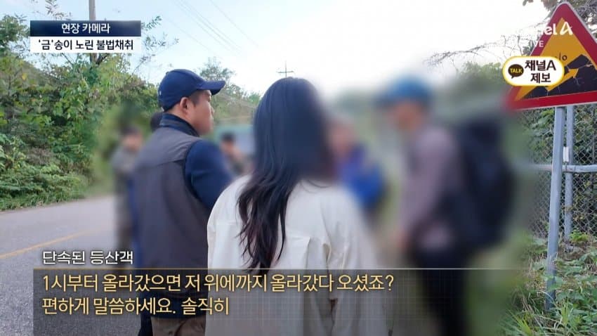 채널a) 송이버섯 1kg에 160만원...밤낮 추격전 (28)