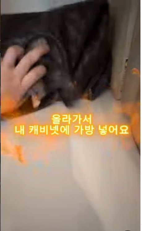아일릿 원희 닮은07년생 한국여자 거친 호주에서  살아남기. ㄷㄷ (22)