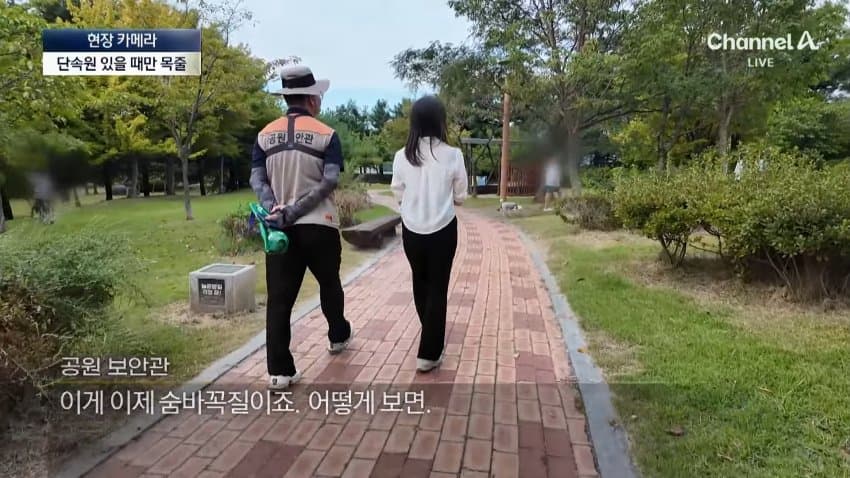 채널a) 단속원 퇴근하자...공원이 '개판' (12)